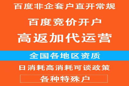 某电商平台的SEM推广策略——代运营公司的实践